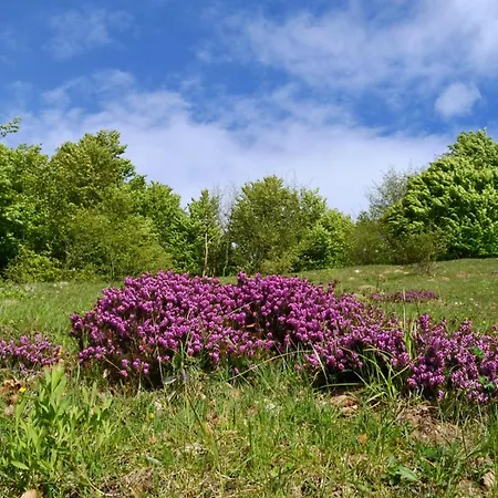 Casa Busso - Happy *